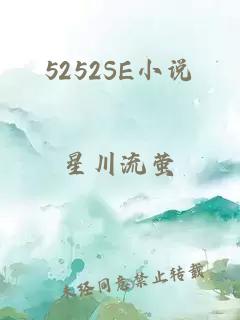 5252SE小说
