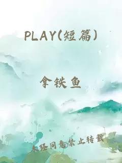 PLAY(短篇)
